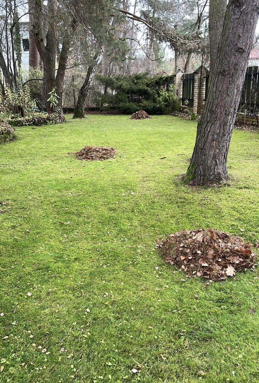 Ogród Artura Barcisia