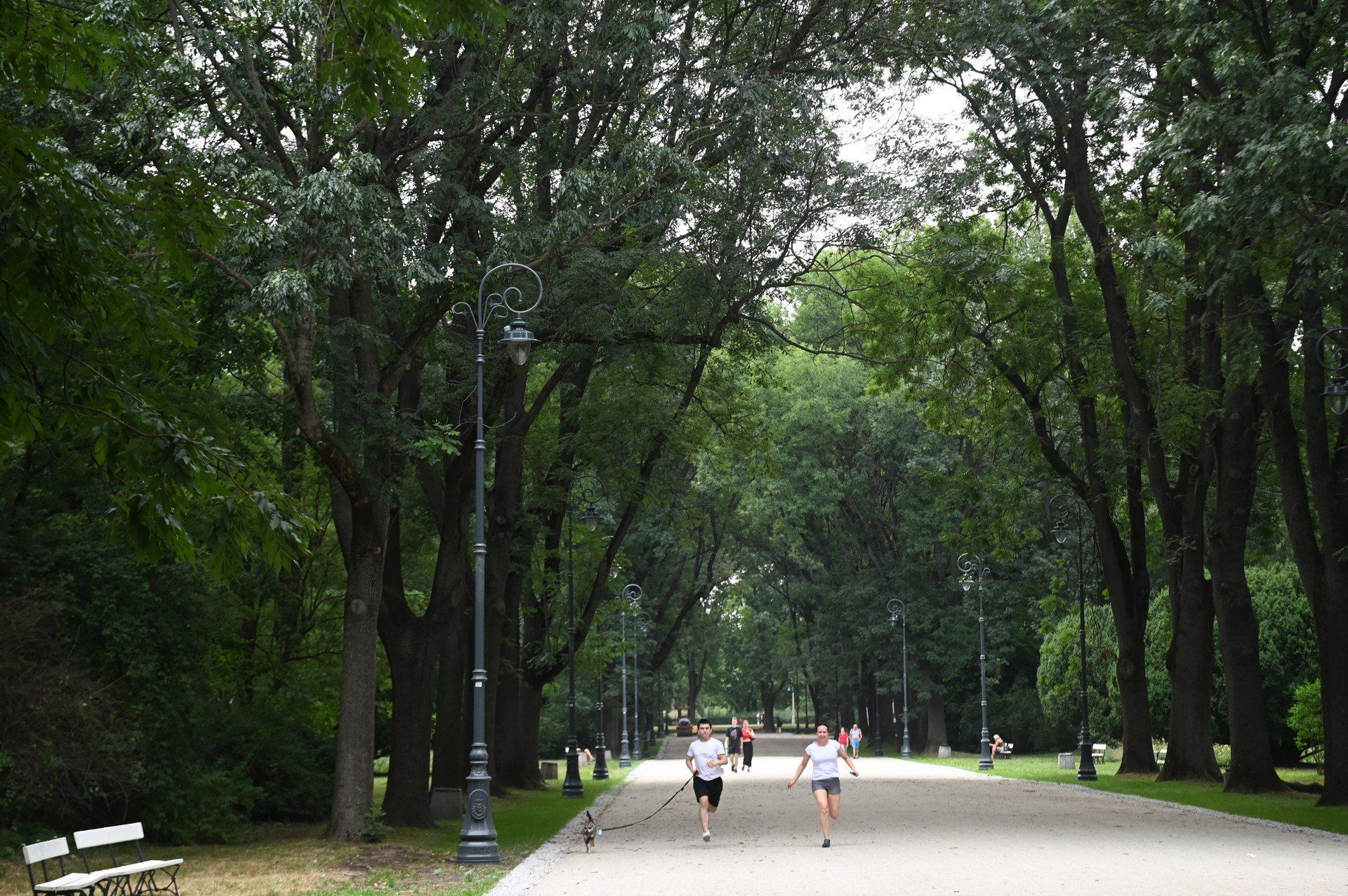 Park Skaryszewski