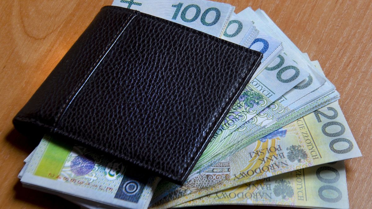 Reporter baza 2020-06-c
2019 N/z polskie pieniadze   fot. Pawel Sonnenburg/REPORTER
Pawel Sonnenburg/REPORTER