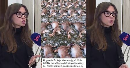 Rusin oskarża PiS: "Taka dewastacja nie występowała w Polsce nawet w czasach OKUPACJI HITLEROWSKIEJ"