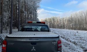 Znów pojawiają się w lasach. Straż Leśna prowadzi akcję