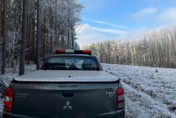 Znów pojawiają się w lasach. Straż Leśna prowadzi akcję