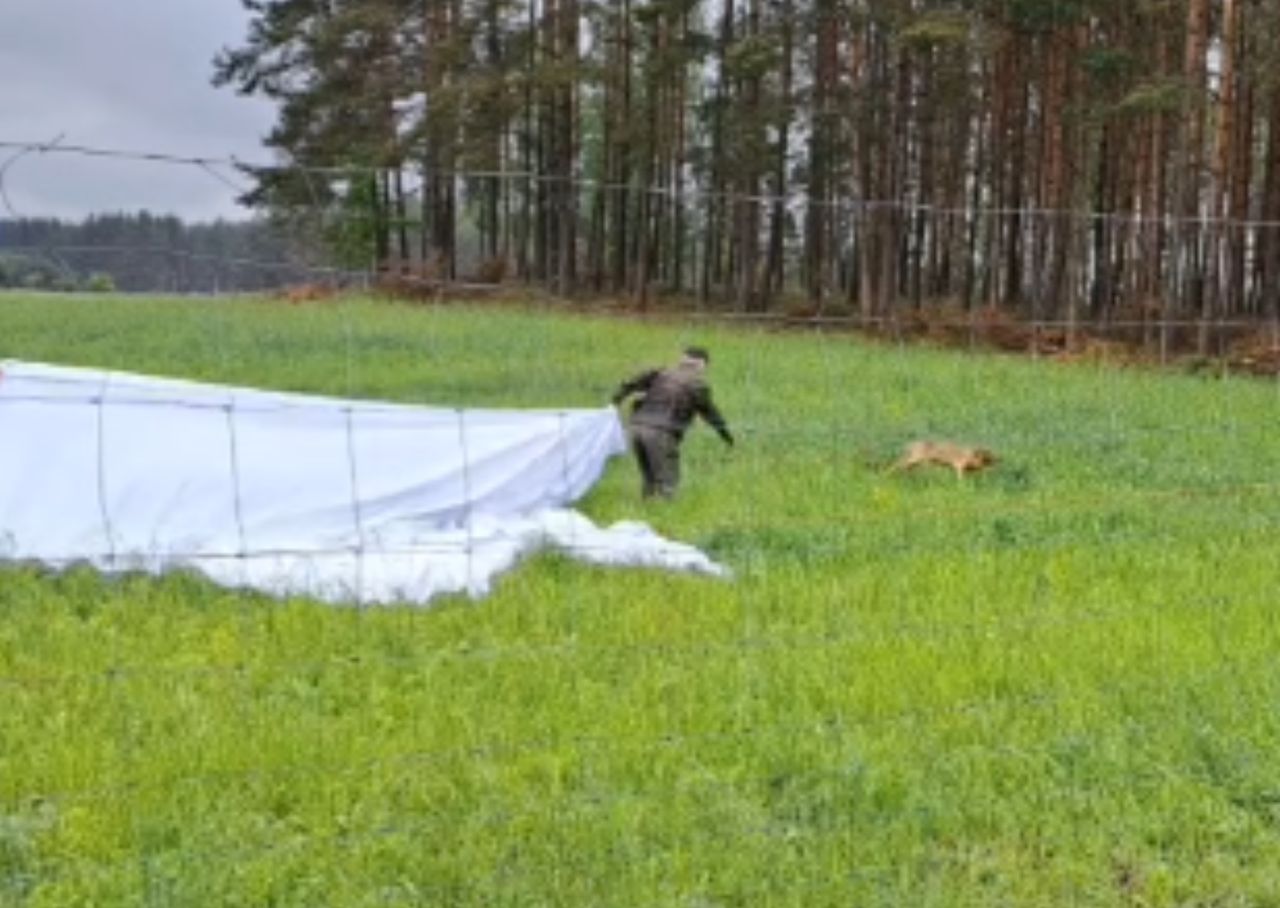 Pokazali, jak wyglądała akcja ratunkowa. "Brawo panowie"