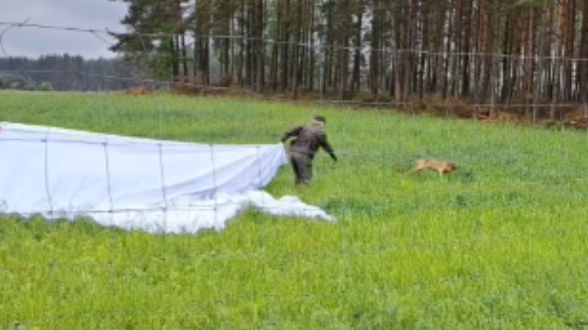 Akcja przebiegła sprawnie i zakończyła się sukcesem 