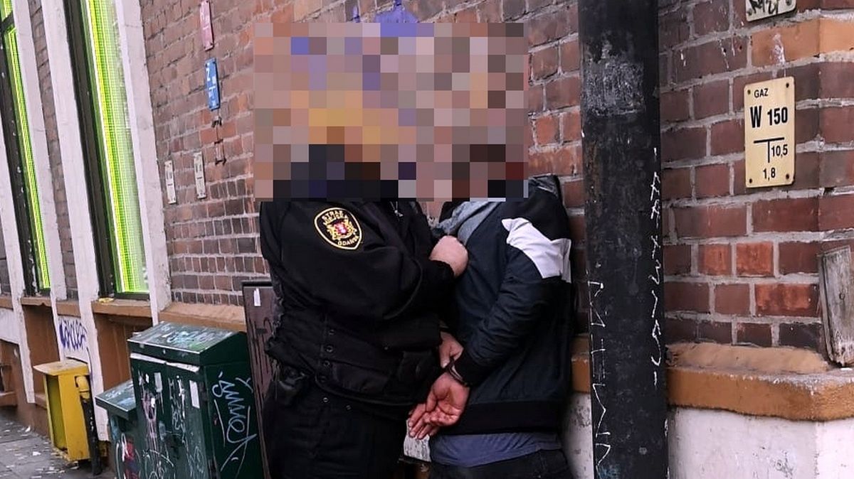 Strażnicy ujęli wandala. Mężczyznę przekazali w ręce policji   