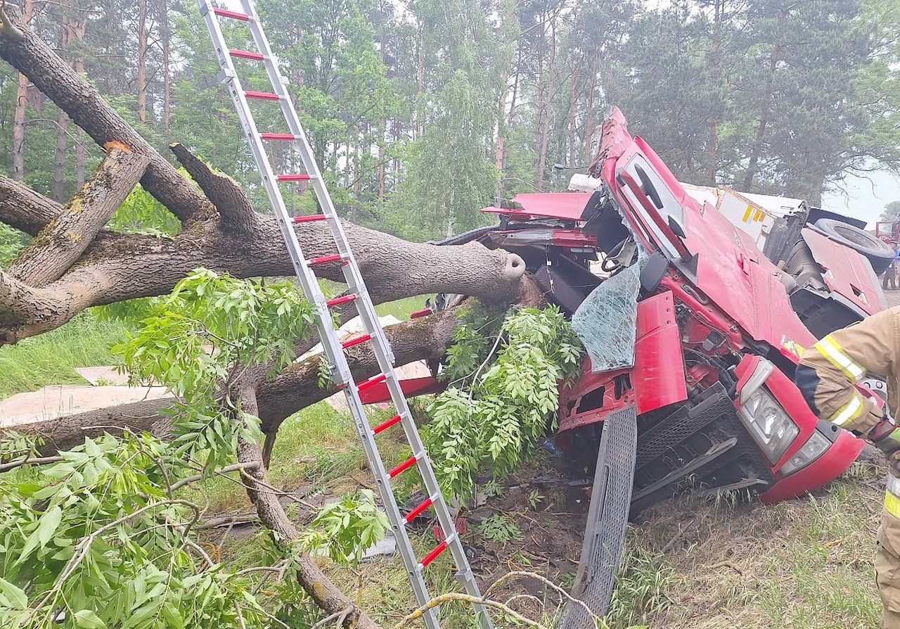 Ciężarówka roztrzaskała się o drzewo