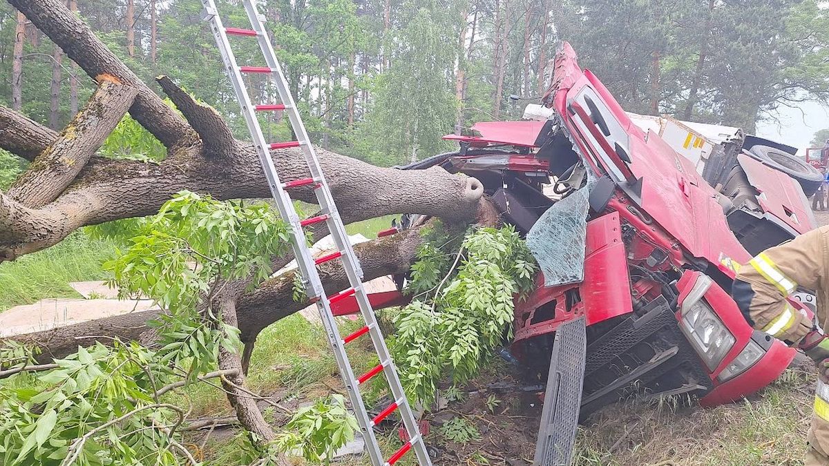 Ciężarówka roztrzaskała się o drzewo