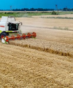 Zmiany w składkach rolników. Oto ile będą płacić