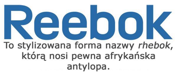 Skąd wzięły się nazwy znanych firm? 21