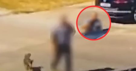Wyrzucił psa do kosza. Policjanci z Włoszczowy pokazali nagranie