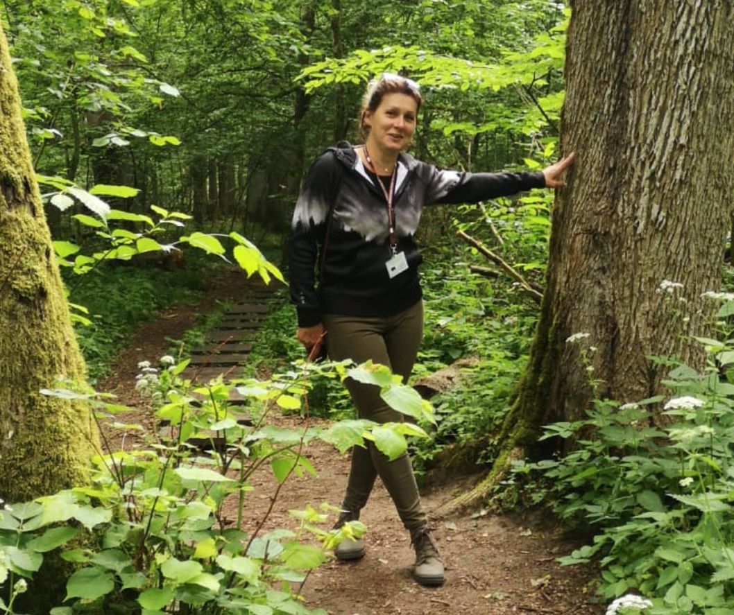 Iwona Jakuc oprowadza turystów po Puszczy Białowieskiej.