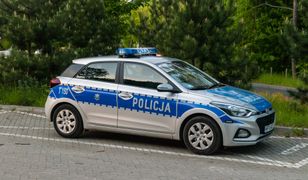 Warszawa. Jedna interwencja policji, dwa zdarzenia. Sprawcy skakali po radiowozie