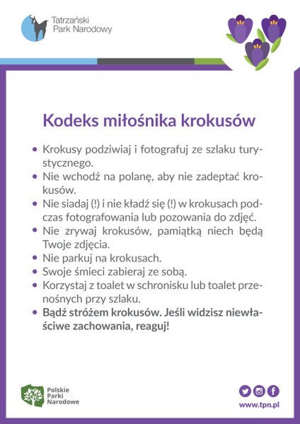Pierwsze krokusy w Tatrach rozkwitają. TPN szykuje się na falę turystów 2