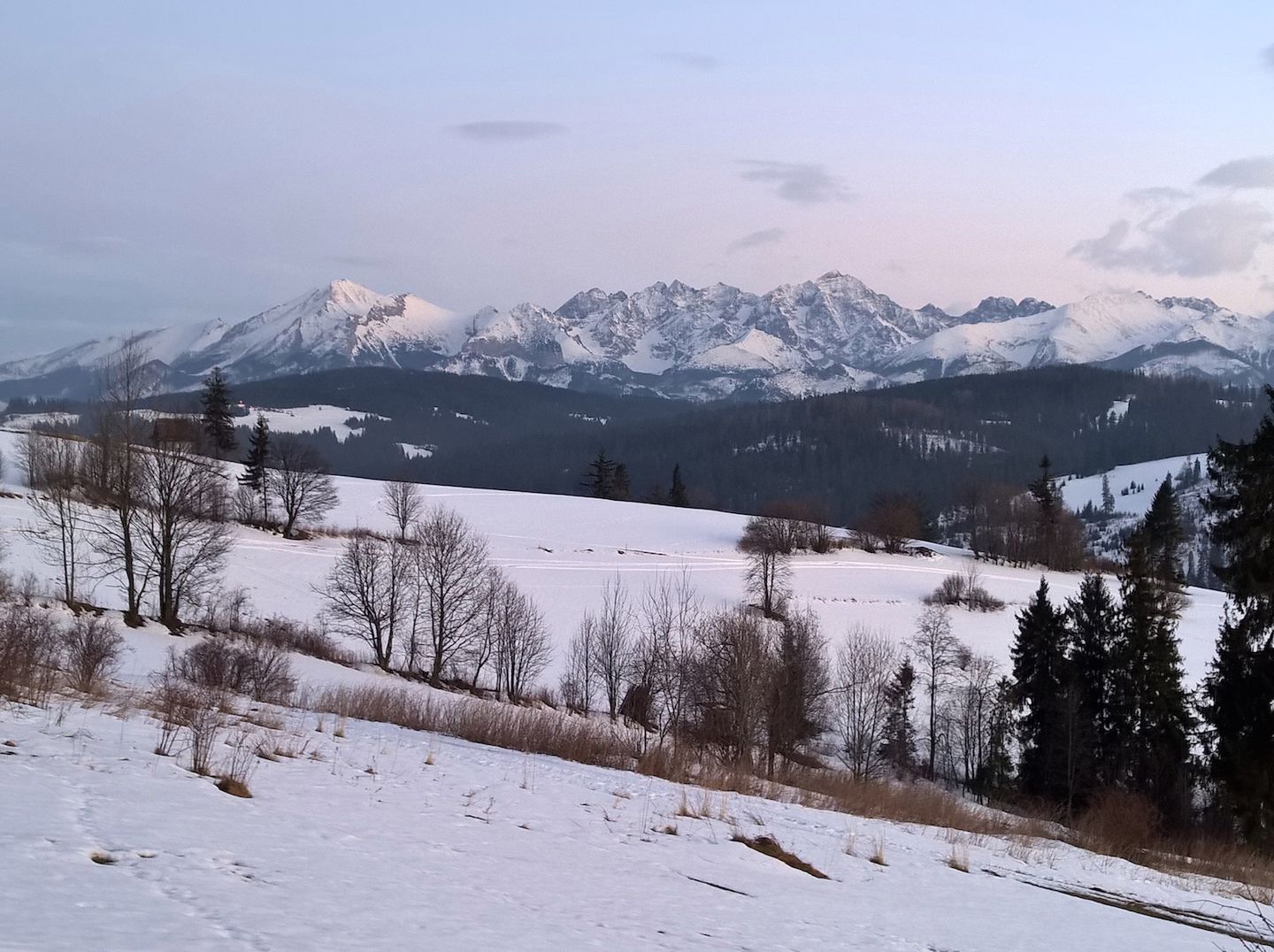 Lumia 930 - test fotograficzny 22