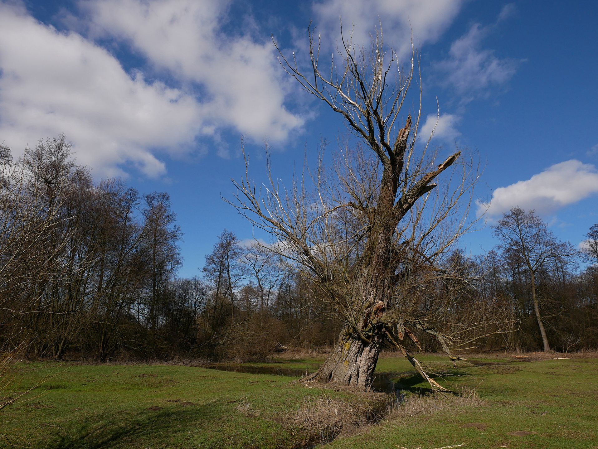 Panasonic Lumix GX800 - Mikro Cztery Trzecie w pełnym tego słowa znaczeniu [test] 63