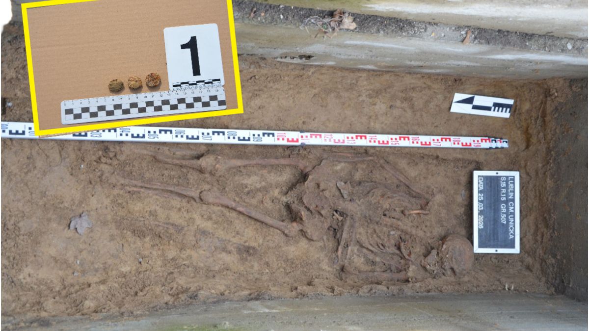  IPN odnalazł szczątki prawdopodobnie więźniów straconych na Zam