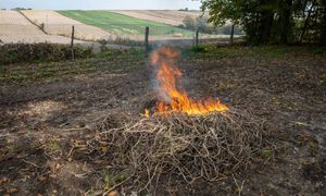 Palenie gałęzi na swojej działce. Oto co mówi prawo