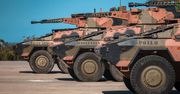 Setka niemieckich Boxerow dla Heer powstanie w Australii