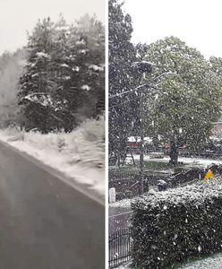 Śnieg i chłód zaskoczyły na Pomorzu. Nagrania mieszkańców