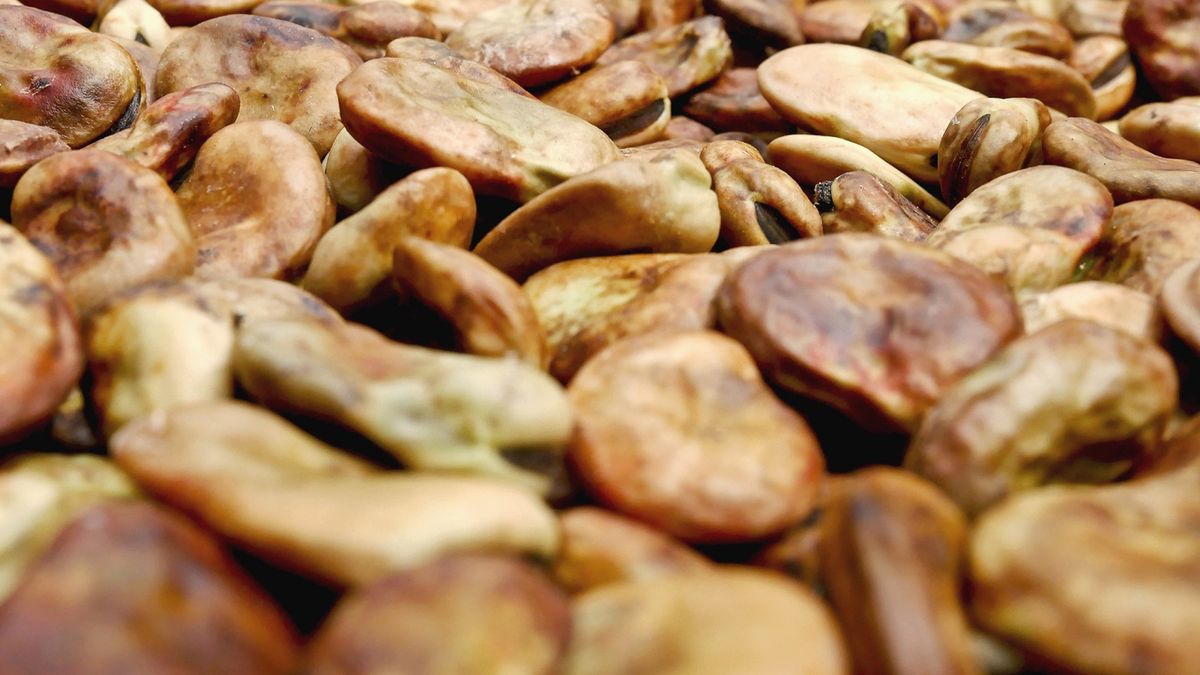 Kolagen znajdziesz nie tylko w galaretkach. Koniecznie włącz do diety te produkty