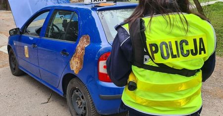 Skontrolowali taksówkę „na aplikację”. Policjanci zaniemówili na widok auta, za kierownicą 45-letni obywatel Zimbabwe