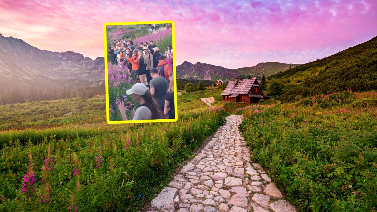 Sceny o poranku w Tatrach.