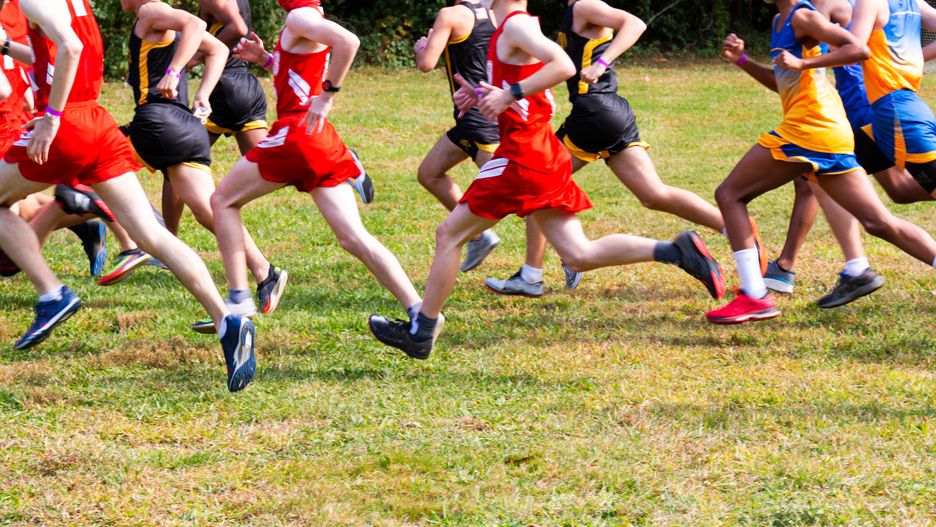 Side view of the start of a boys cross country running race on grass.
DAVID WOOD
running, race, runners, start, 5K, high school, teenagers, cross country, side view, training, group, active, sporty, athletes, track, teams, sports, run, athletics, exercise, park, grass, field, trail, trees, endurance, fitness, lifestyle, outdoors, aerobic, healthy, competition, speed, cardio, young, boys, motion, action, uniform, red, black, white, singlets, real people, candid, competing, copy space, horizontal, shorts, legs, running, race, runners, start, 5k, high school, teenagers, cross country, side view, training, group, active, sporty, athletes, track, teams, sports, run, athletics, exercise, park, grass, field, trail, trees, endurance, fitness, lifestyle, outdoors, aerobic, healthy, competition, speed, cardio, young, boys, motion, action, uniform, red, black, white, singlets, real people, candid, competing, copy space, horizontal, shorts, legs