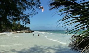 Dramat w Kenii. Nie żyje polska turystyka