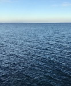 Morskie "wiry" u wybrzeży Bałtyku. Naukowcy odkryli, czym są