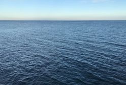 Morskie "wiry" u wybrzeży Bałtyku. Naukowcy odkryli, czym są