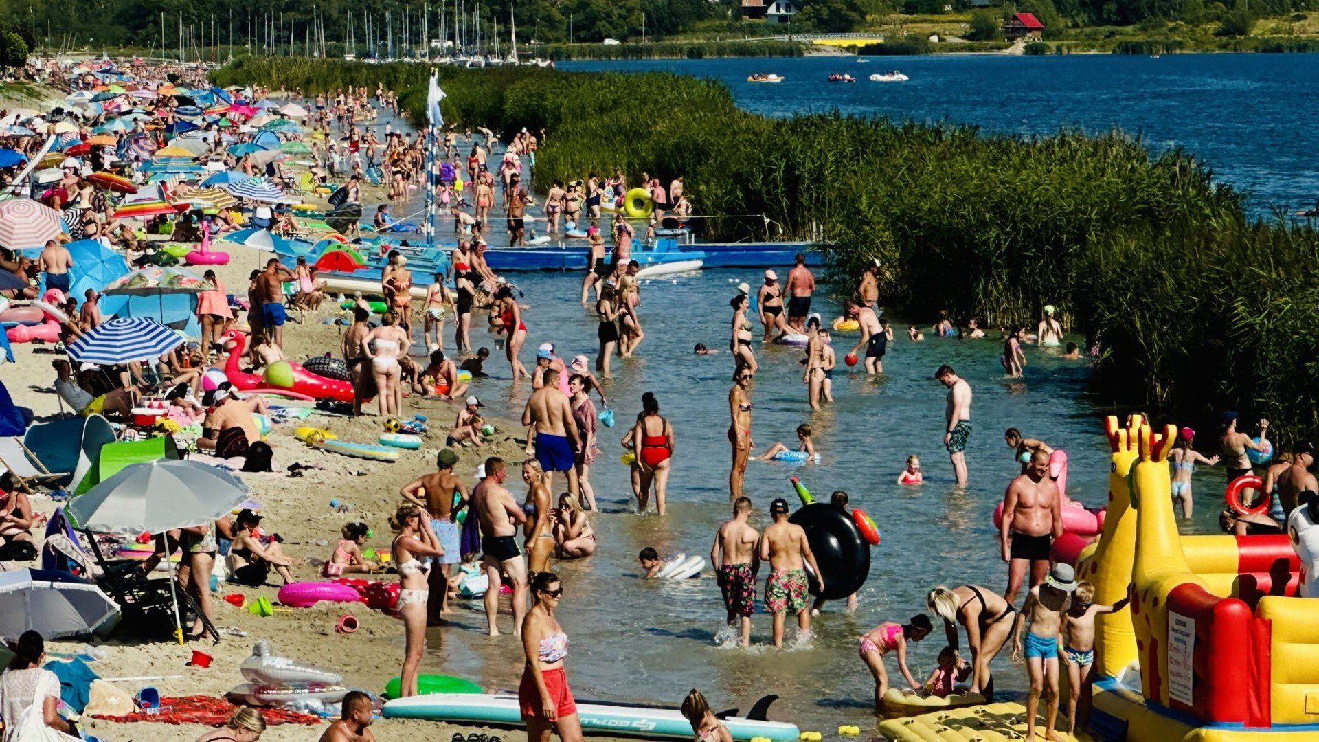 Wypoczynek nad Jeziorem Tarnobrzeskim w środę, 13 sierpnia