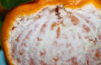 Polacy zjadają duże ilości w grudniu. Niektórzy powinni trzymać się od nich z daleka