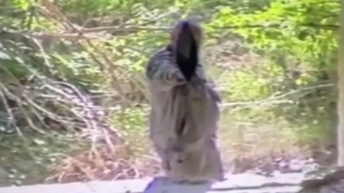 czarnobyl przerazajace duch google maps