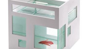 Hotel dla ryb czyli dość nietypowe akwarium 1