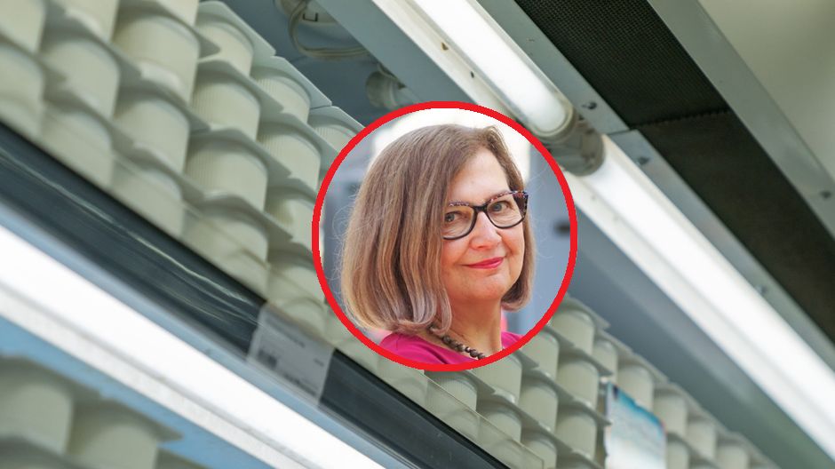 Biją rekordy popularności na listach zakupów Polaków. Skok zainteresowania o 90 proc.