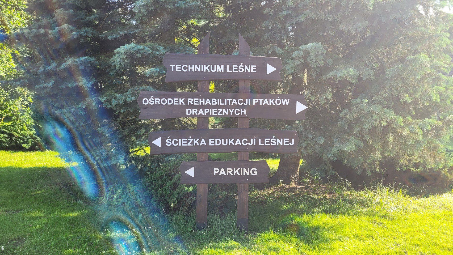 Spacerując po Warcinie jest co oglądać.