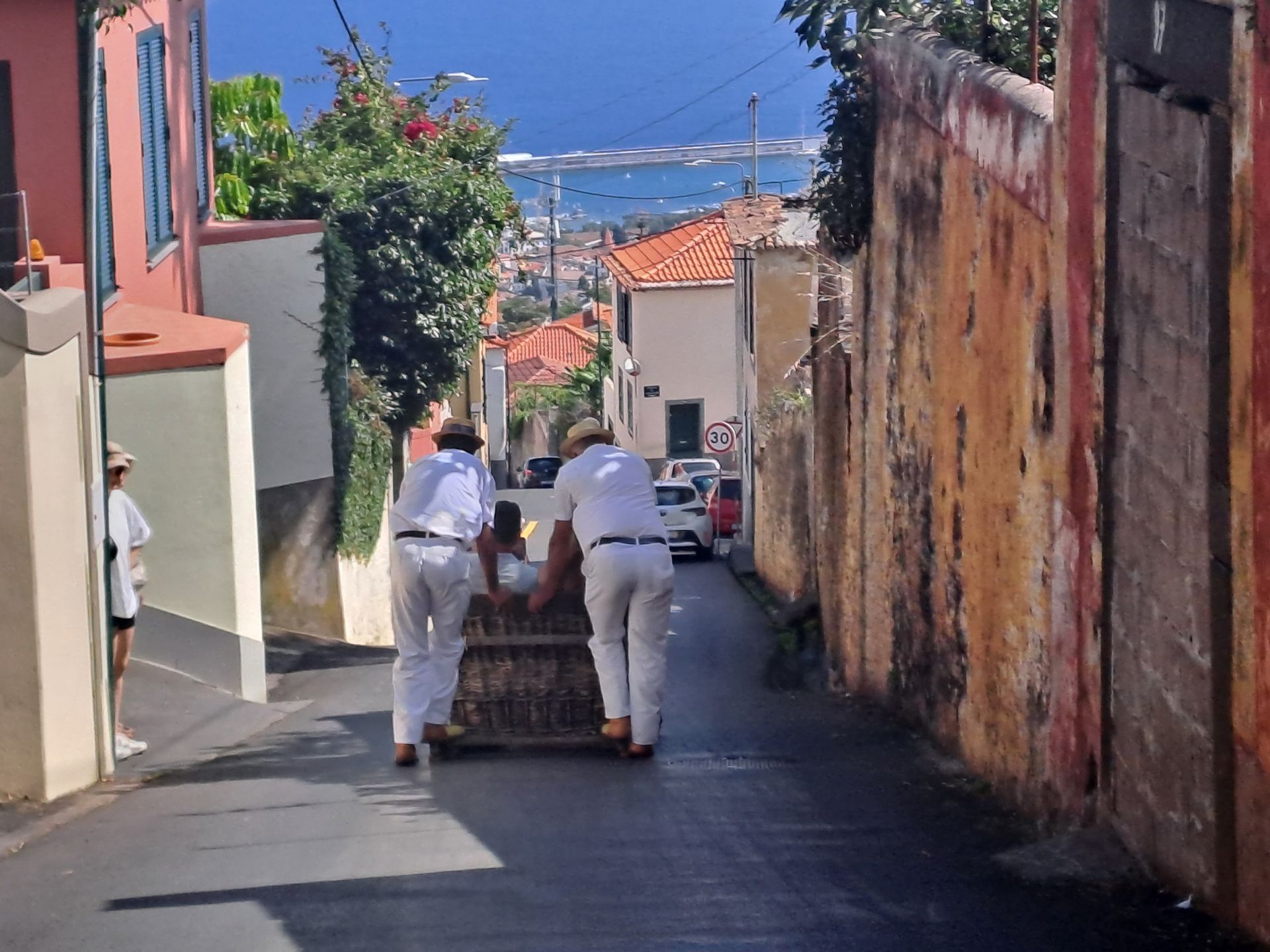 Zjazd saniami w Funchal