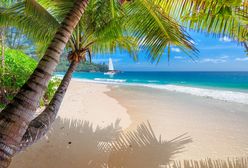 Zagrożenia zdrowotne w tropikach. O czym pamiętać przed egzotyczną podróżą?