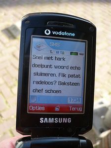 Estonia będzie głosować za pomocą komórek 1