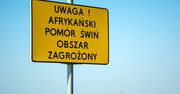 Kończy się czas na złożenie wniosku na pomoc w walce z ASF. Na rolników czeka 200 mln