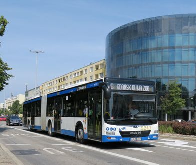Możliwy strajk kierowców autobusów. Jest prośba prezydenta Gdyni