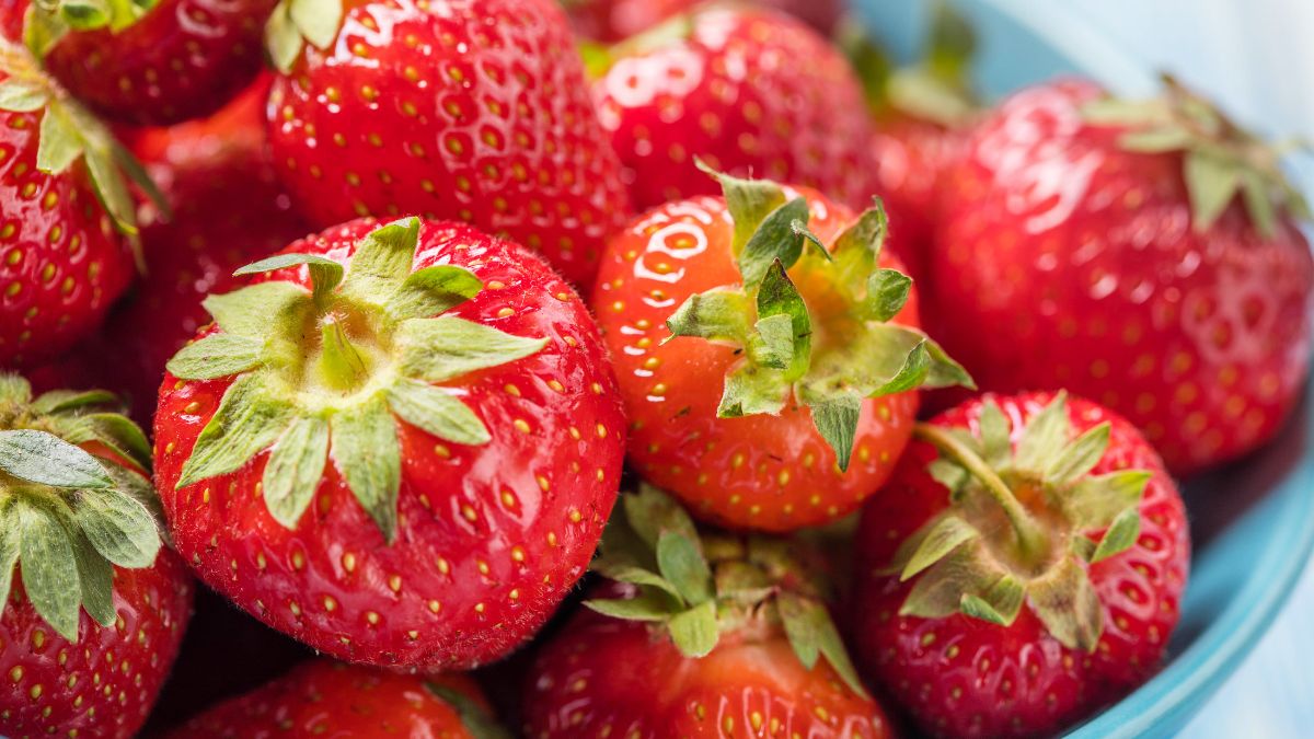 Zadbaj o truskawki po powrocie z rynku