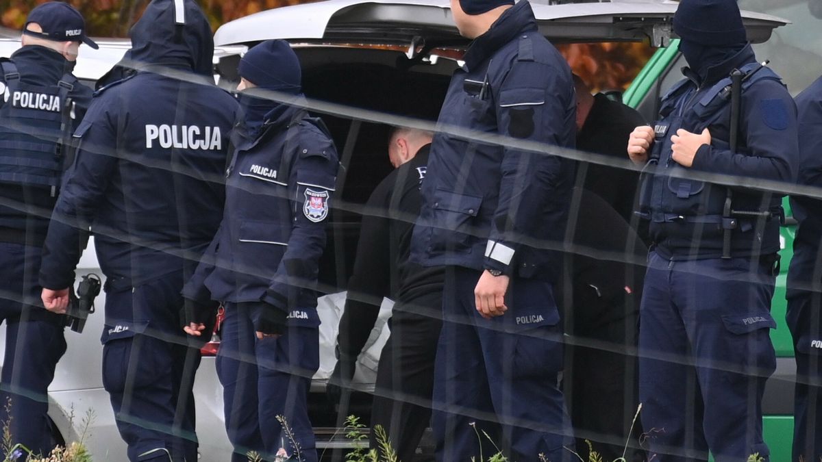 Zdjęcie poglądowe.