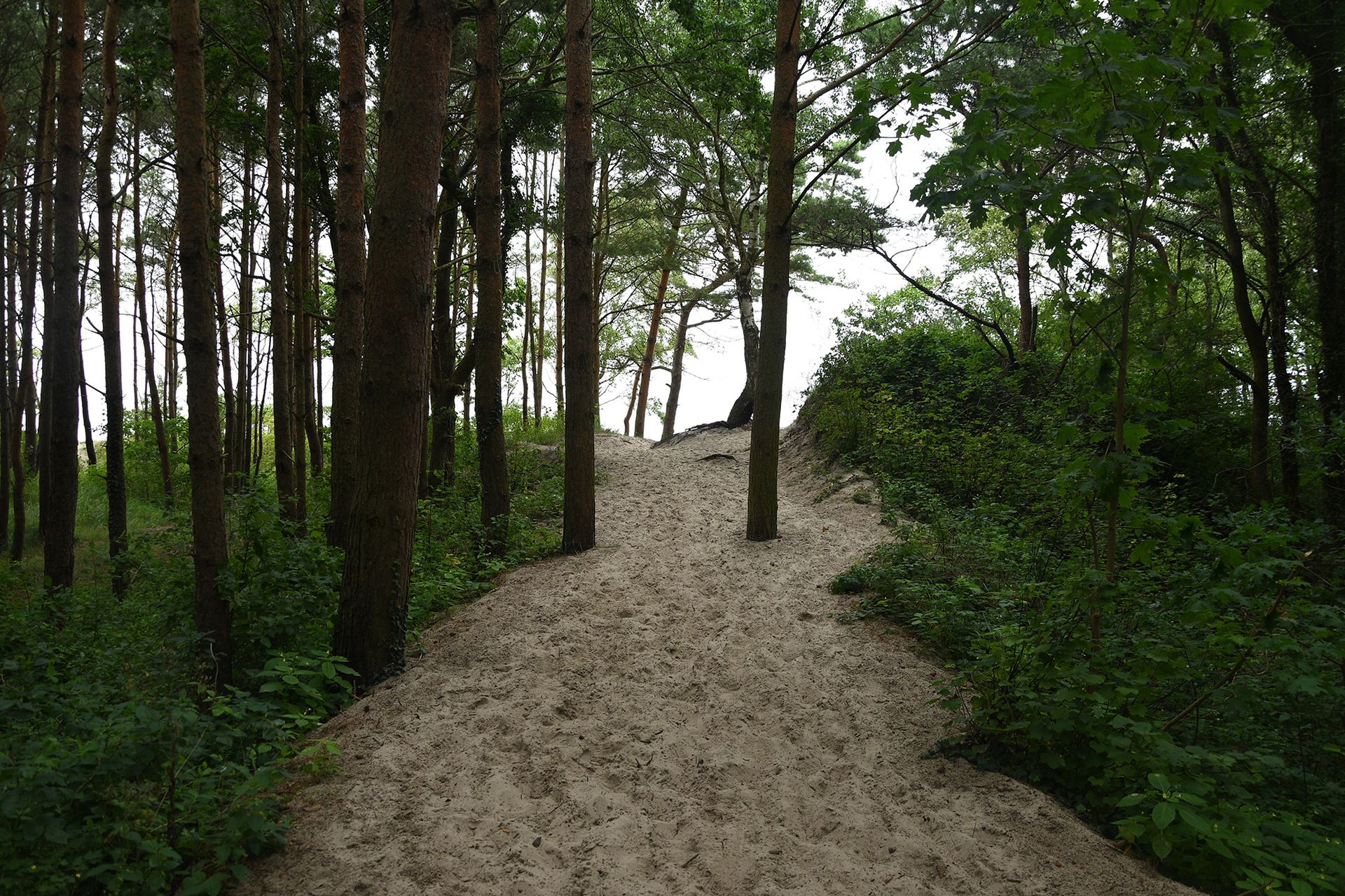Nikon D7500 - przepustka do poważnej fotografii czy drogi gadżet? [test] 81