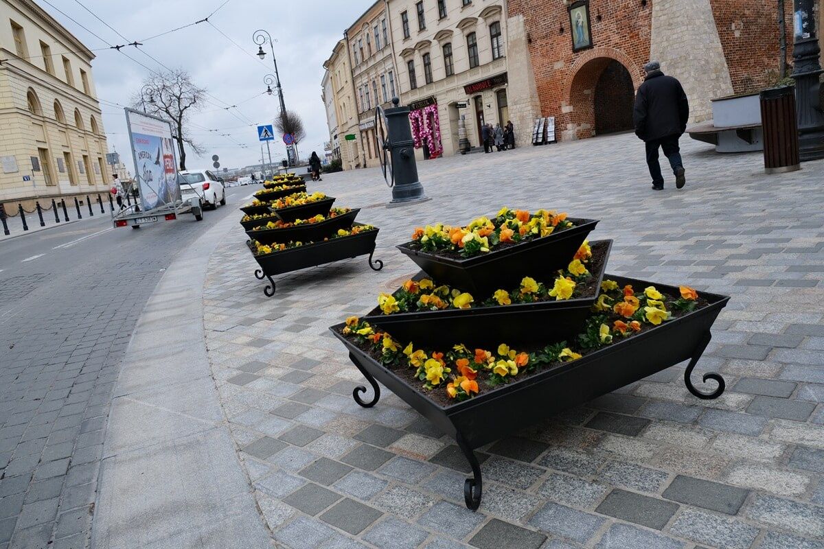 Bratki w nowych donicach przed Bramą Krakowską w Lublinie