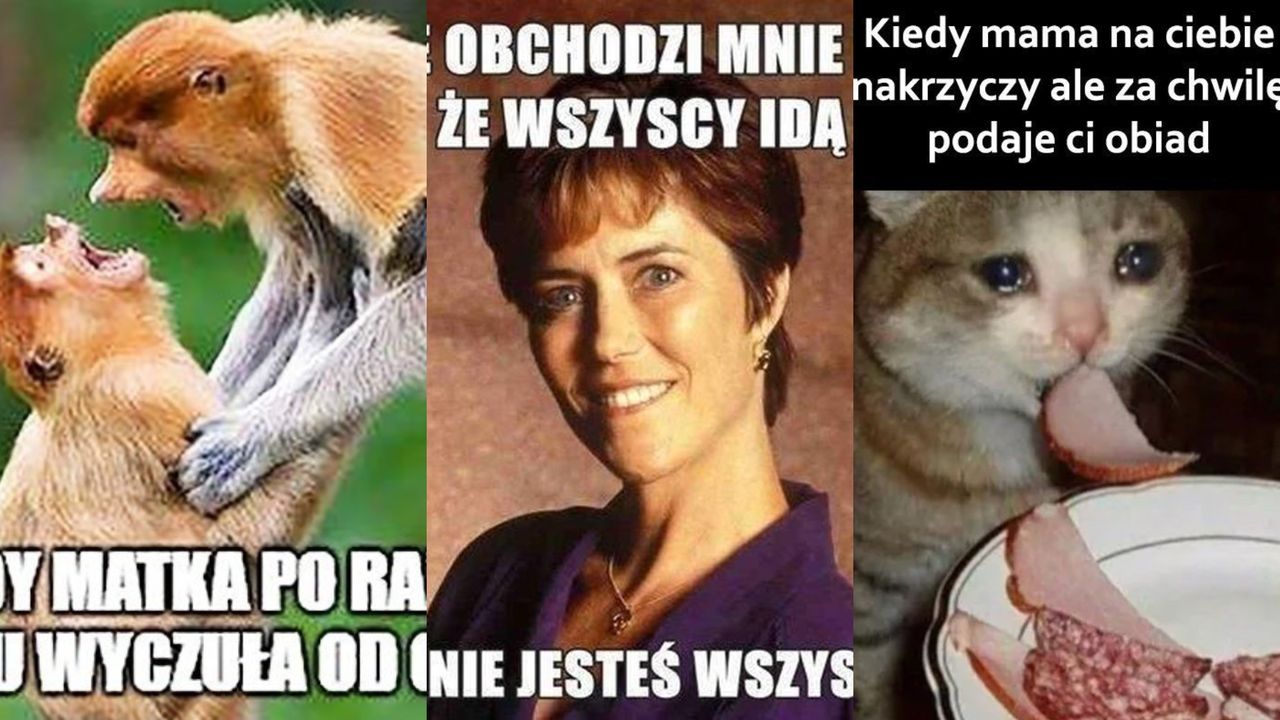 Najlepsze memy na Dzień Matki 2024 (Internet)