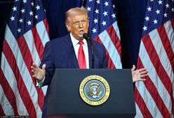 USA podejmą działania ws. Grenlandii? Członkowie NATO pracują nad planem