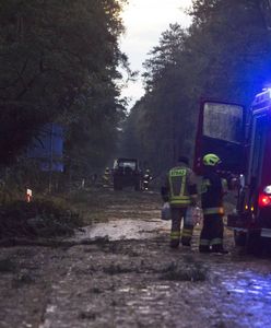 Silny wiatr w Polsce. Ewakuacja obozów namiotowych, na drodze połamane drzewa