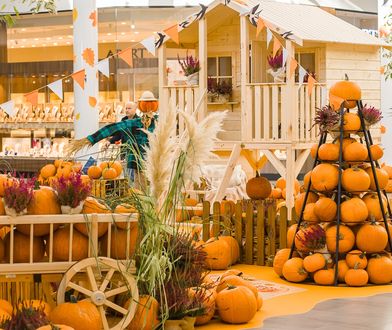 Dyniowa farma zagościła w Centrum Janki