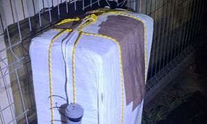 Przyleciał do Polski balonem. Tylko zajrzeli do środka